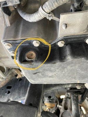 Stripped bolt from oil change