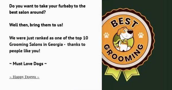 Voted as one of the top ten groomers in GA!