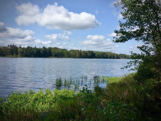 shoreline fishing