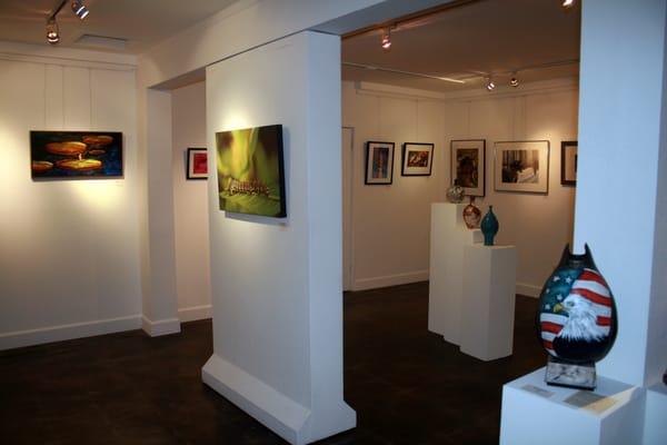 Gallery 21 New Members' Show