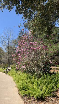 Beautiful spring day