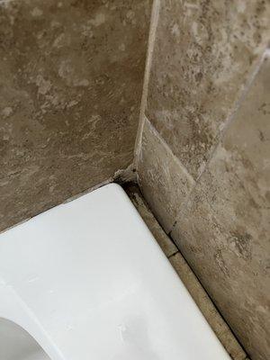 Black mold in the shower