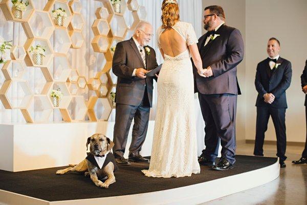 Two honeycomb walls used as a wedding ceremony backdrop. Flowers and LED candles added by florist. Photos by McGowan Images.