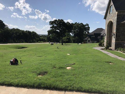 14 trees removed from this yard. Lumps and trunks hauled off and felt with accordingly