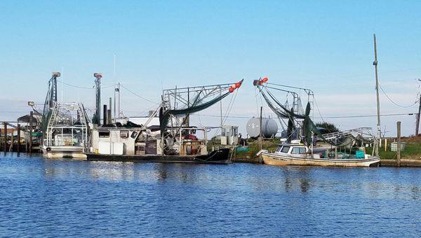 Shrimp boats