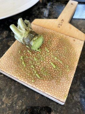 Fresh wasabi from Japan, on a sharkskin grater