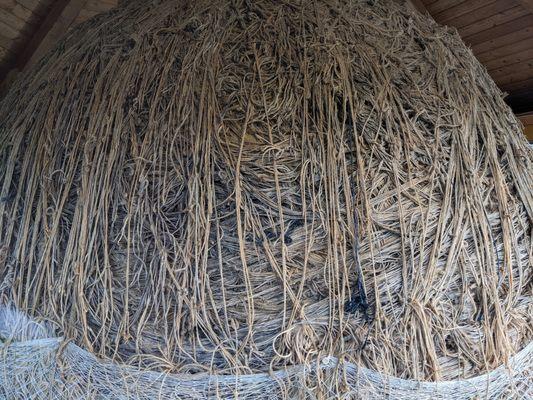 World's Largest Ball of Twine, Darwin