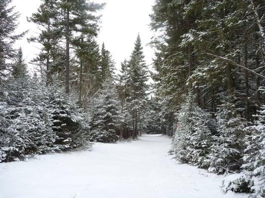 Early Snow at Van Hoevenberg