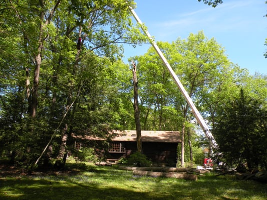 Same house in Pelham NH on Colonial dr. Tree removal by crane almost done.