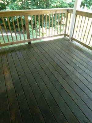 Slime coated deck, treated and ready for power wash.