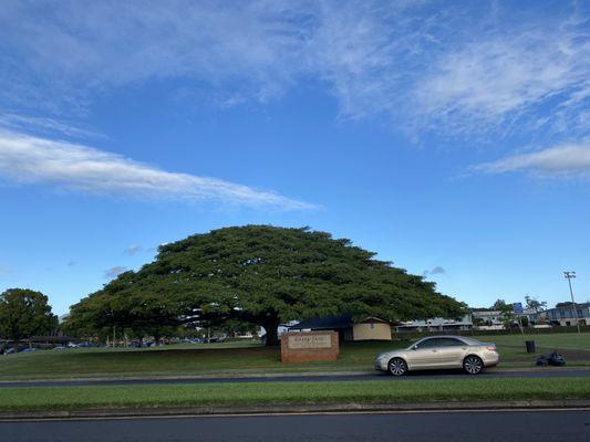 Kipapa Neighborhood Park