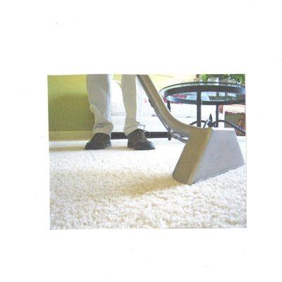 Carpet Cleaning Tampa FL