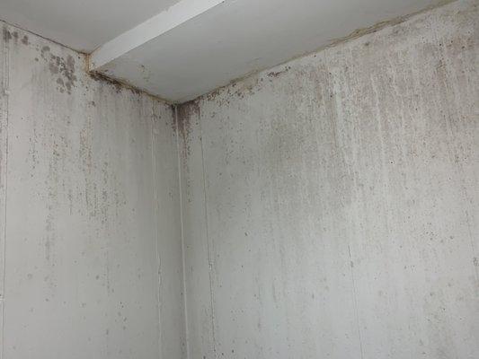 Mold