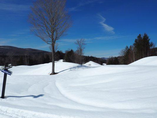 Snowshoeing trail on a gorgeous day!