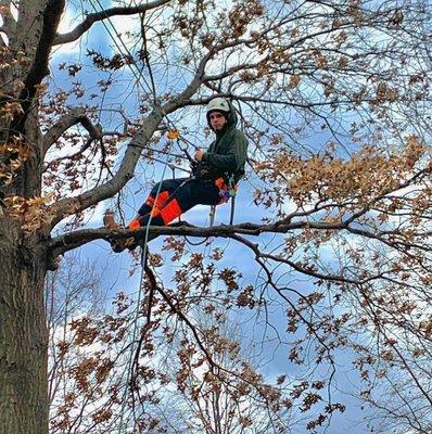 Brothers Tree Service