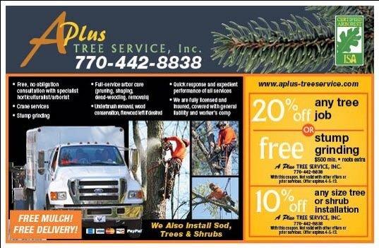 A Plus Tree Service