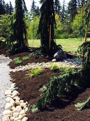 Pathways. Grass removal. Drainage. Trees.