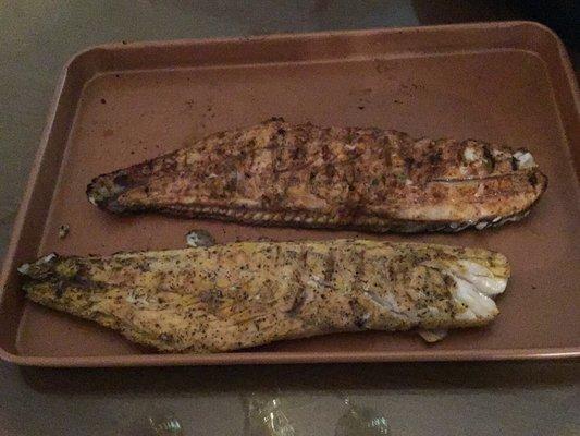 Grilled redfish