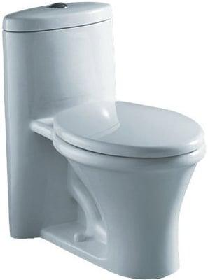 Arielle dual flush toilet