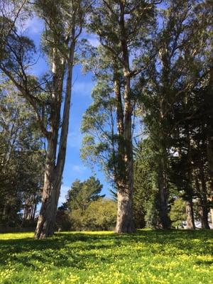 The grounds of the Bolinas' St. Mary Magdalene Catholic Church.