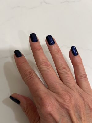 OPI Russian Navy