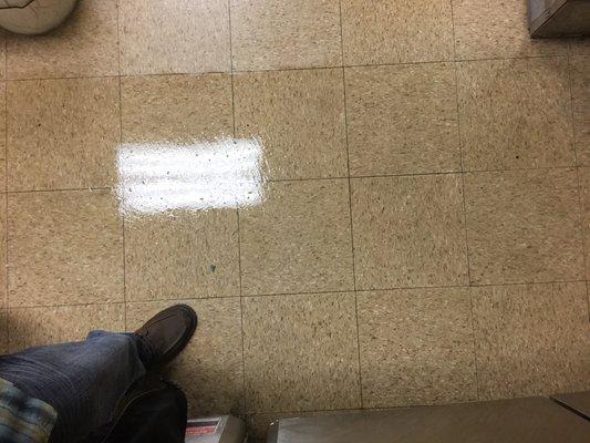 Floor sealer