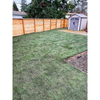 Freshly laid sod at a North Seattle property.