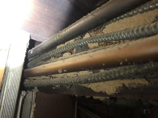 Termite Damage