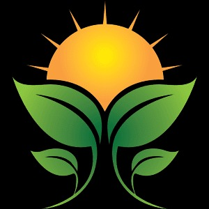 Holistic Awakenings Logo, sun and sprout