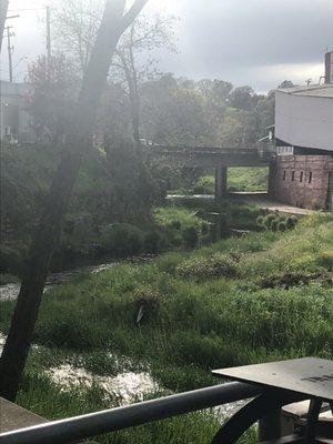 A trout stream behind the historical Jackson, Ca