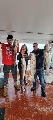 Stripers