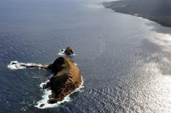 "Elephant" island