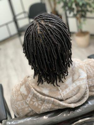 Starter Locs