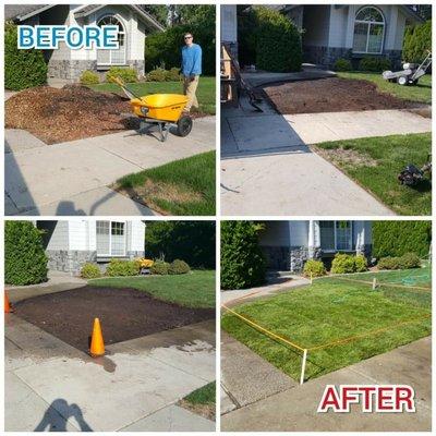 KC Tree and moss Removal offers landscaping services.  We also do moss removal on roofs and other pressure washing service's.