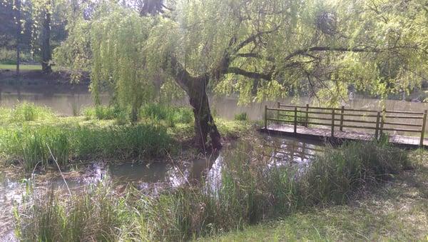 Pond @Brookside Inn on Abbey Road