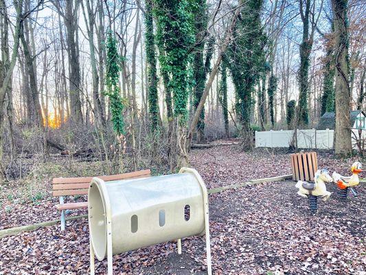 Ralph A. Garzia Park & Playground -- appears to have woods trails at rear of playground