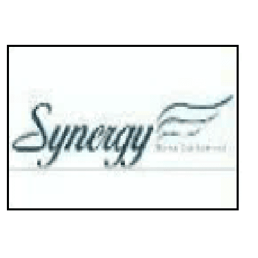 Synergy Motor Car Company