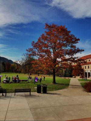 Don't let unseasonable weather affect your opinion of a college. It snowed the day after we toured the University of Denver [pictured].