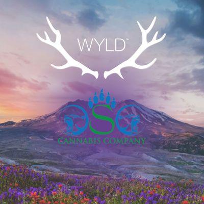 Have you taken a ride on the wyld side? We strongly suggest you #staywyld