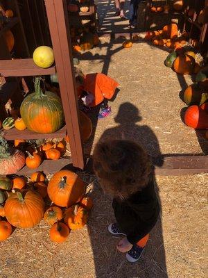 Photo Op, House of Pumkins.