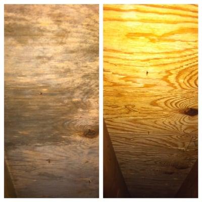 before & after attic mold removal