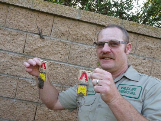 Wildlife Trapping Professionals of Los Angeles