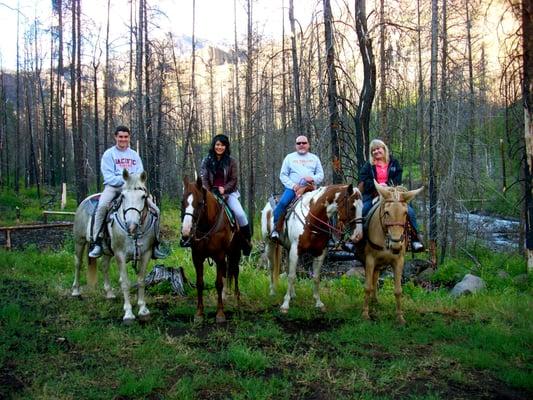 Nugget, Lady, Cotton, and Buttercup :)