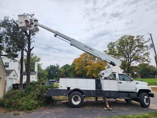 Tree Service