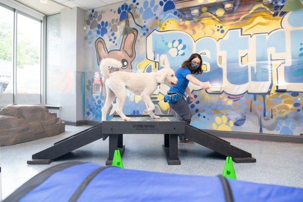 Jack running the obstacle course