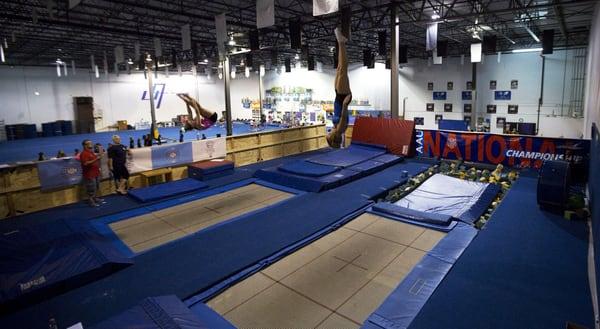 5 Star Elite Trampoline Area