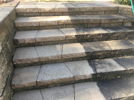 Pressure Washing Concrete Cleaning