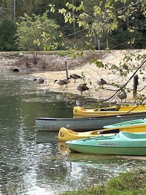 Lake where kayak was