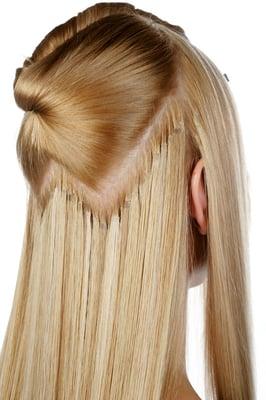 Fusion Extensions