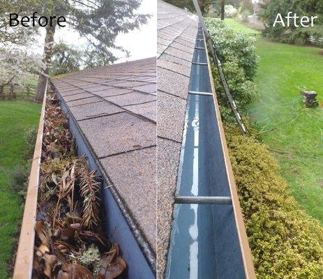 Gutter Cleaning